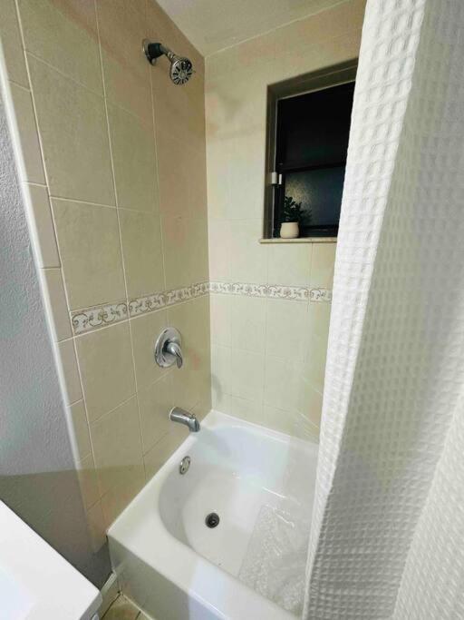 Coral Gables Miami Studio Near Airport And Beaches Esterno foto